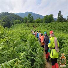 روستای پلکانی کاکوه در ماسال، با لقب "ماسوله دوم" و معماری سنتی منحصر به فردش، مقصدی رویایی است. این روستا با خانه‌های چوبی، کوچه‌های پیچ در پیچ و طبیعت بکر، تجربه‌ای فراموش‌نشدنی ای دارد.