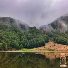 روستای داماش در رودبار، در ارتفاع ۱۸۰۰ متری البرز قرار دارد و زیستگاه گل نادر سوسن چلچراغ است. این ییلاق با طبیعت بکر و فاصله ۱۰۰ کیلومتری از رشت، مقصدی منحصربه‌فرد برای گردشگران است.