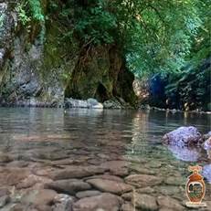 روستای کله‌سرا در تالش با رودخانه‌ای زلال، آبشارهای متعدد و آبگیرهای طبیعی، مقصدی ایده‌آل برای آبتنی و گردش در دل جنگل‌های بکر گیلان است. این روستا تنها ۹۰ کیلومتر با رشت فاصله دارد.