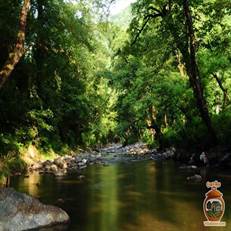 روستای بلوردکان در لنگرود، با طبیعت جنگلی، رودخانه خروشان و جاذبه‌های تاریخی، مقصدی ایده‌آل برای گردشگران است. این روستا با مسیر آسفالته و هوای مطبوع در ۸۵ کیلومتری رشت قرار دارد.