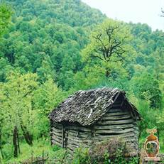 ییلاق دیلمان در مرتفع‌ترین نقطه لاهیجان، مقصدی محبوب برای فرار از زندگی شهری است. اقامت در ویلاهای ییلاقی، غذا خوردن در طبیعت و گشت‌وگذار در جاذبه‌های تاریخی از جذابیت‌های آن است.