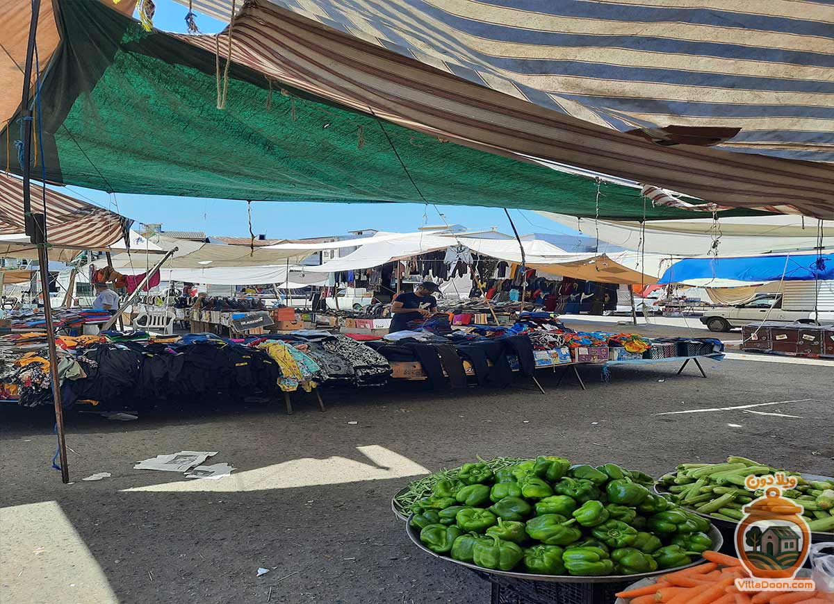 یکشنبه بازار خمام؛ گنجینه‌ای از فرهنگ اصیل و محصولات ارگانیک گیلان. از تازه‌ترین سبزیجات محلی، ماهی و زیتون تا صنایع دستی، در قلب خمام.