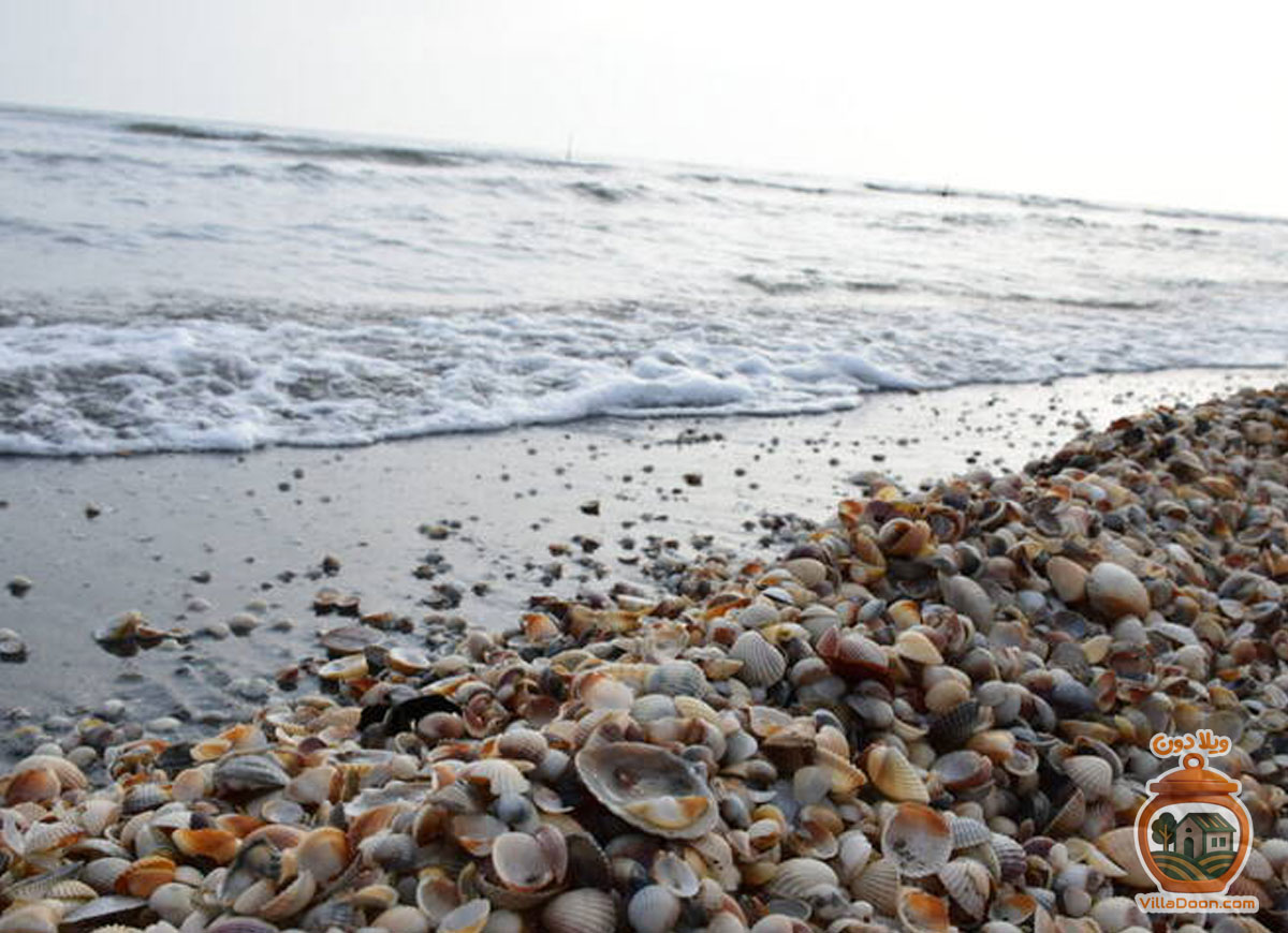 ساحل آرام و وسیع آستارا با امکاناتی چون آلاچیق، سکوی چادر، باربیکیو، قایق سواری، اسب سواری و ماهیگیری، مقصدی ایده‌آل برای فرار از شلوغی و لذت بردن از طبیعت بکر شمال ایران در نزدیکی مرز آذربایجان است.