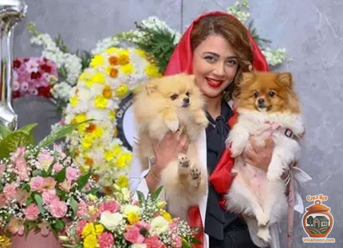 کلینیک دامپزشکی چکاوک در کیلومتر ۵ جاده رشت-انزلی، مرکزی دلسوز و متعهد است که با عشق به حیوانات خدمات دامپزشکی ارائه می‌دهد. 