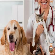 مرکز دامپزشکی بهشت در شهرک بهشتی رشت، با خدمات تخصصی، محیط آرام و رویکردی محترمانه، تجربه‌ای متمایز در درمان حیوانات ارائه می‌دهد. این مرکز با تعهد به رفاه و کیفیت، انتخابی خاص و مطمئن است.