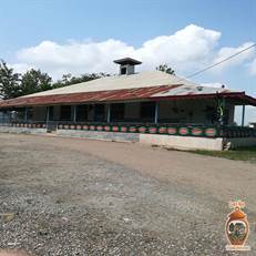 بقعه سید شفیع لاهیجان؛ آرامگاهی تاریخی در دل محله بیجار. با تاریخچه، معماری سنتی و راهنمای کامل بازدید از این جاذبه مذهبی و گردشگری آشنا شوید.