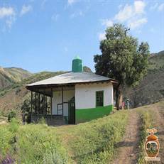 بقعه بابا ولی دیلمان؛ سفری به آرامگاه قادر نبی در دل طبیعت گیلان. راهنمای کامل بازدید، معماری و تاریخچه این نگین مذهبی و تاریخی لاهیجان.