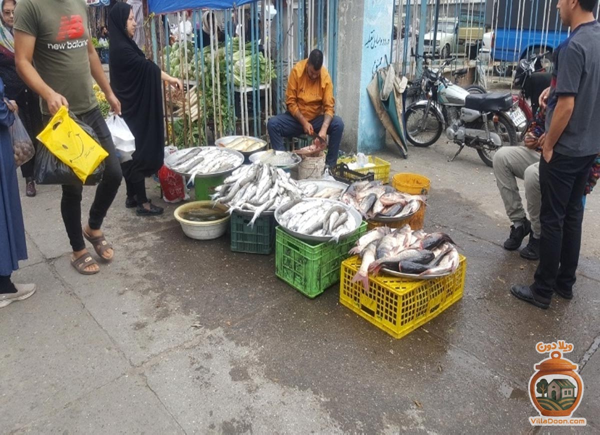 بازدید از شنبه بازار انزلی؛ خرید میوه تازه، سبزیجات محلی، صنایع دستی و تجربه فرهنگ شمال ایران برای گردشگران و اهالی.