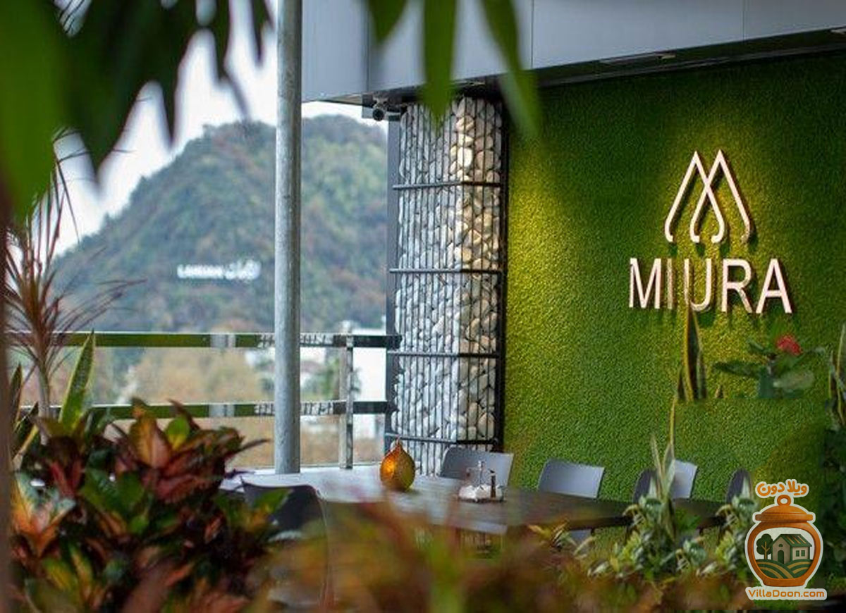 معرفی سه کافه محبوب لاهیجان شامل میورا، امیر و راینو به همراه آدرس، تلفن و ویژگی‌های هر کافه برای یک کافه‌گردی دلچسب.