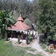 رستوران یادگار پدر شاندرمن؛ طبیعت بکر، آلاچیق‌های دنج و چلو شامی ترش معروف در قلب گیلان.