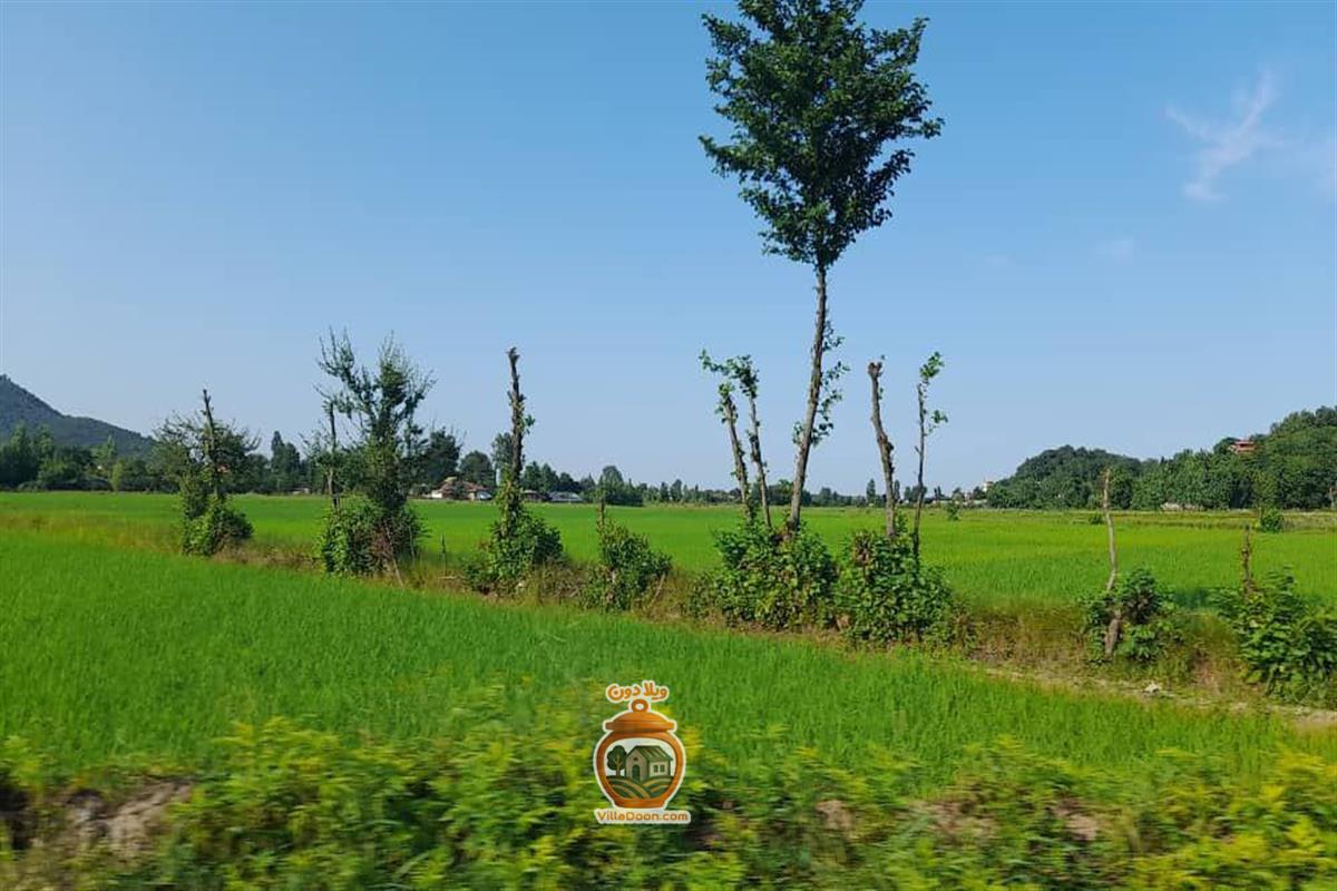 اجاره روزانه ویلا 3 خواب وسط کوه و جنگل ویو جادویی