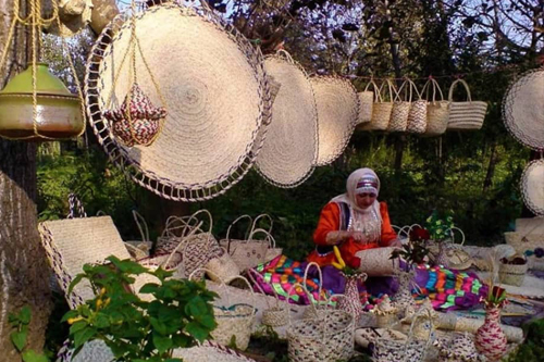 فرهنگ و زندگی محلی